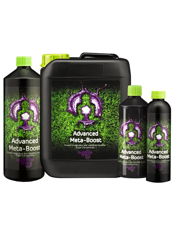 Buddhas Tree Nutrients