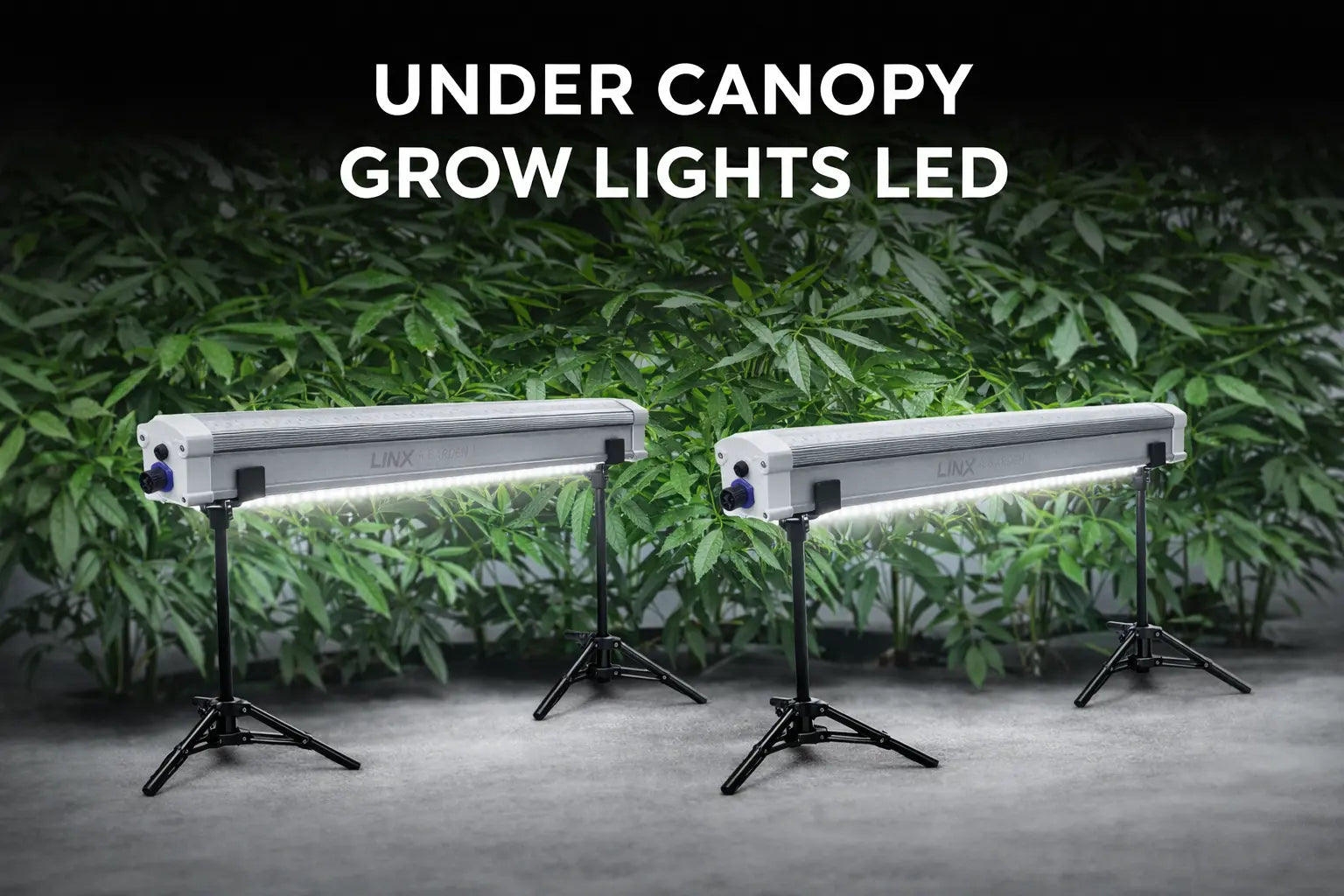 Under-Canopy Grow Lights