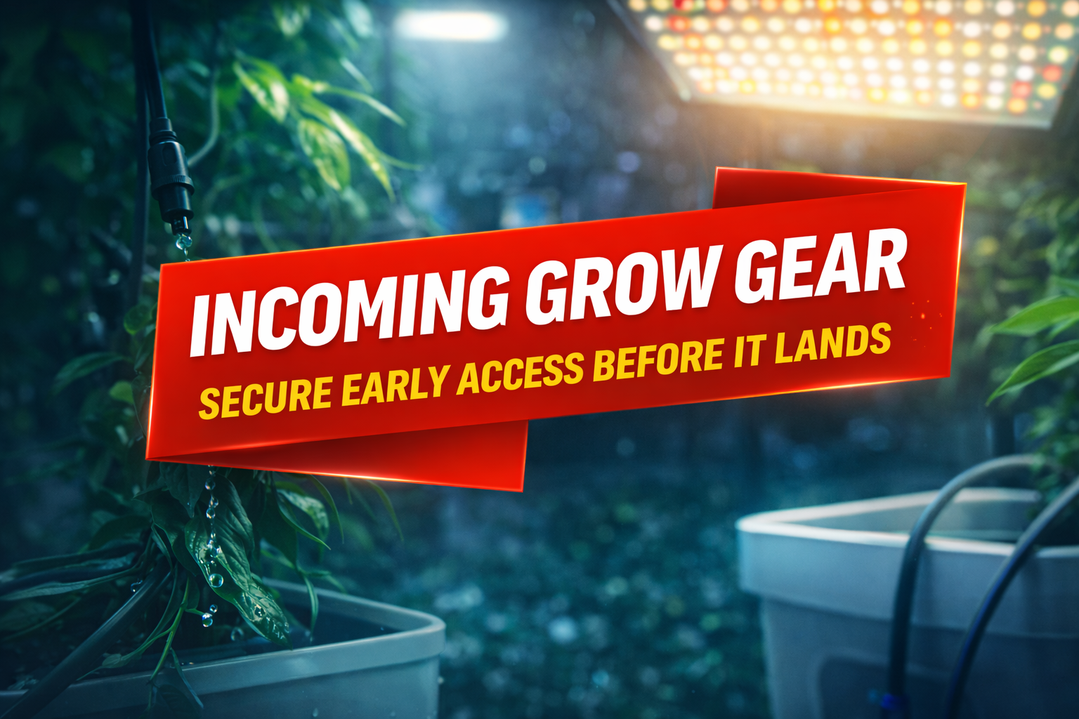 New Grow Gear Incoming | Early Access at The Hydro Bros