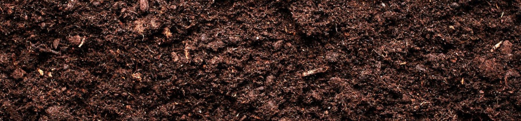 Organic / Soils