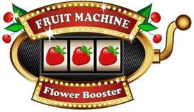 All Fruit Machine Products