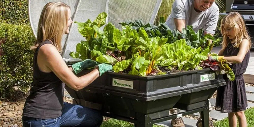 Vegepod Systems