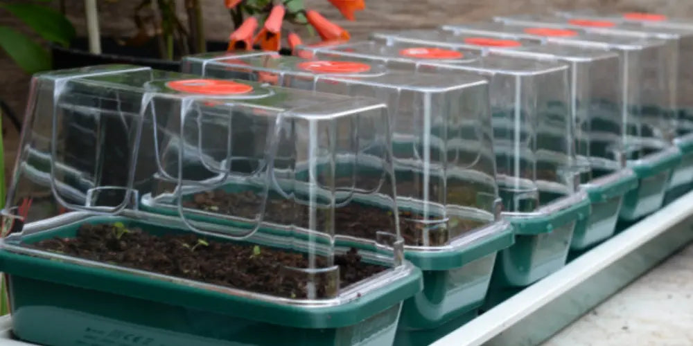 Propagators