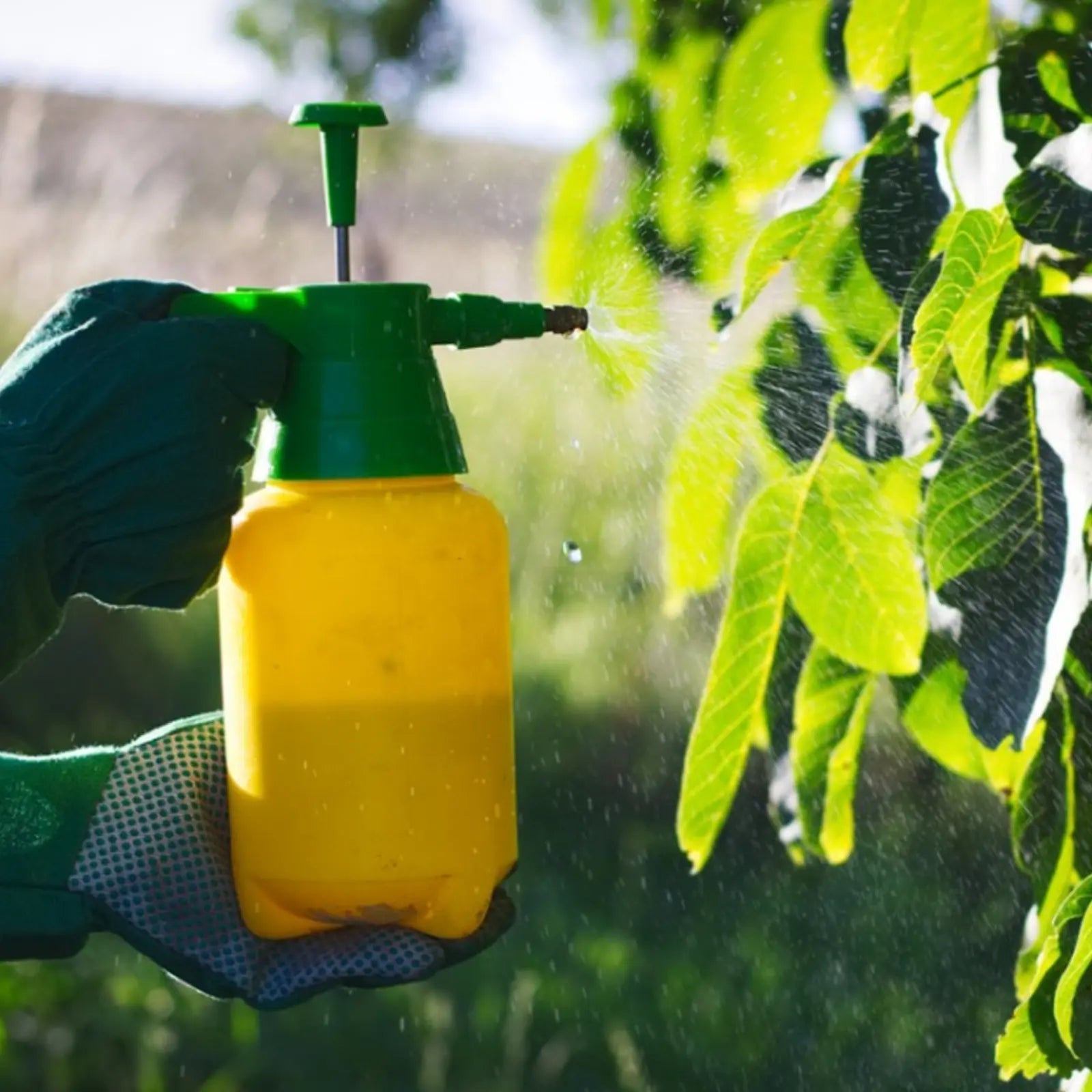 Spray Bottle & Spray Guns