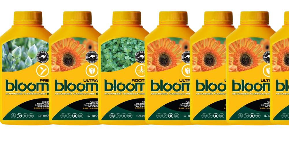 Bloom Yellow Bottles