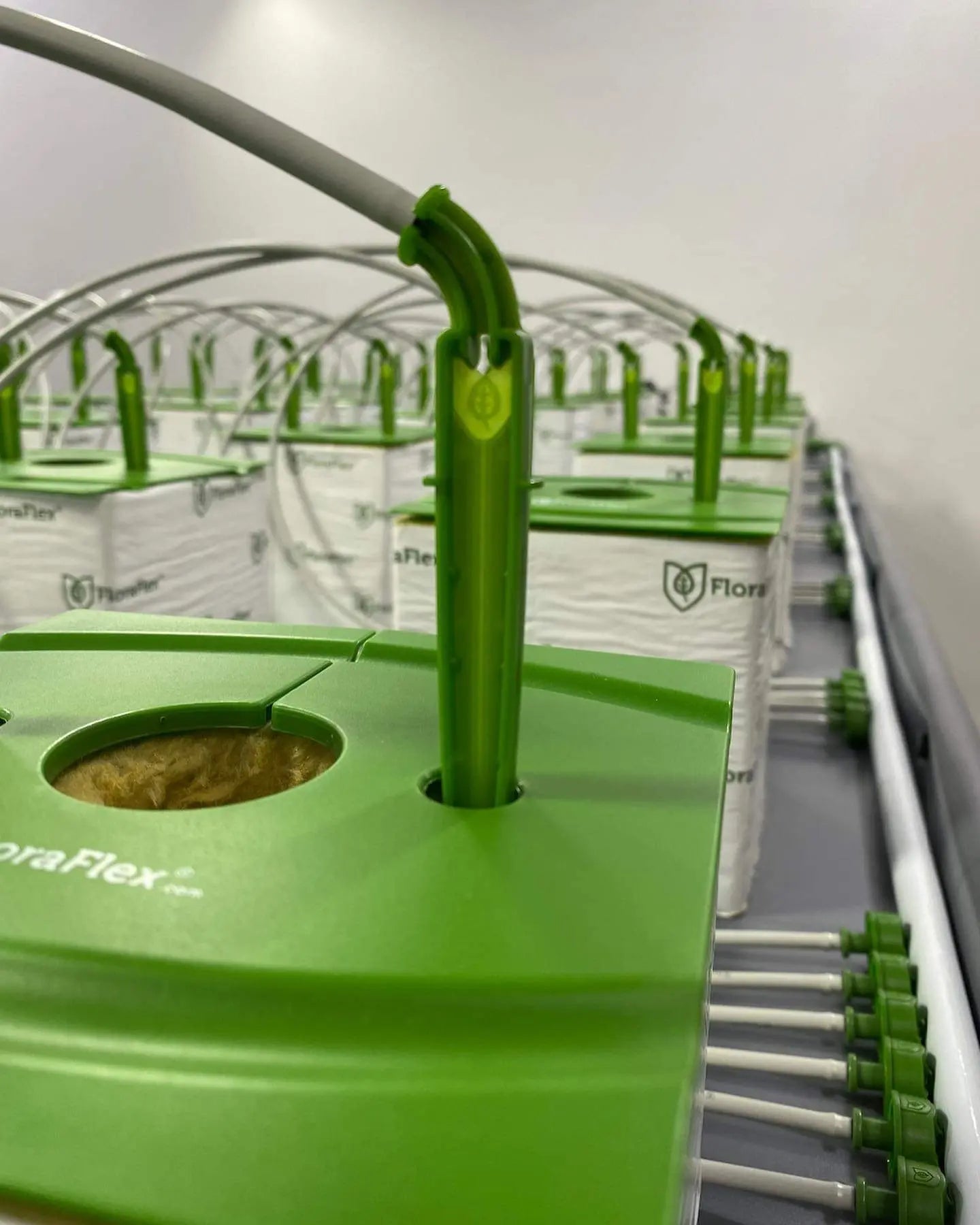 FloraFlex DIY Micro Dripper System