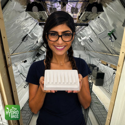AQUATEK pH & EC Runoff Testing Tray