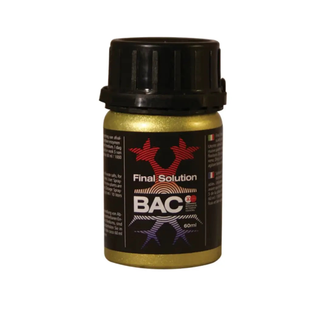 BAC - Endgültige Lösung