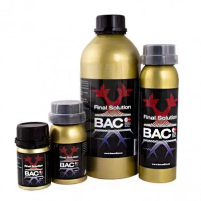 BAC - Endgültige Lösung