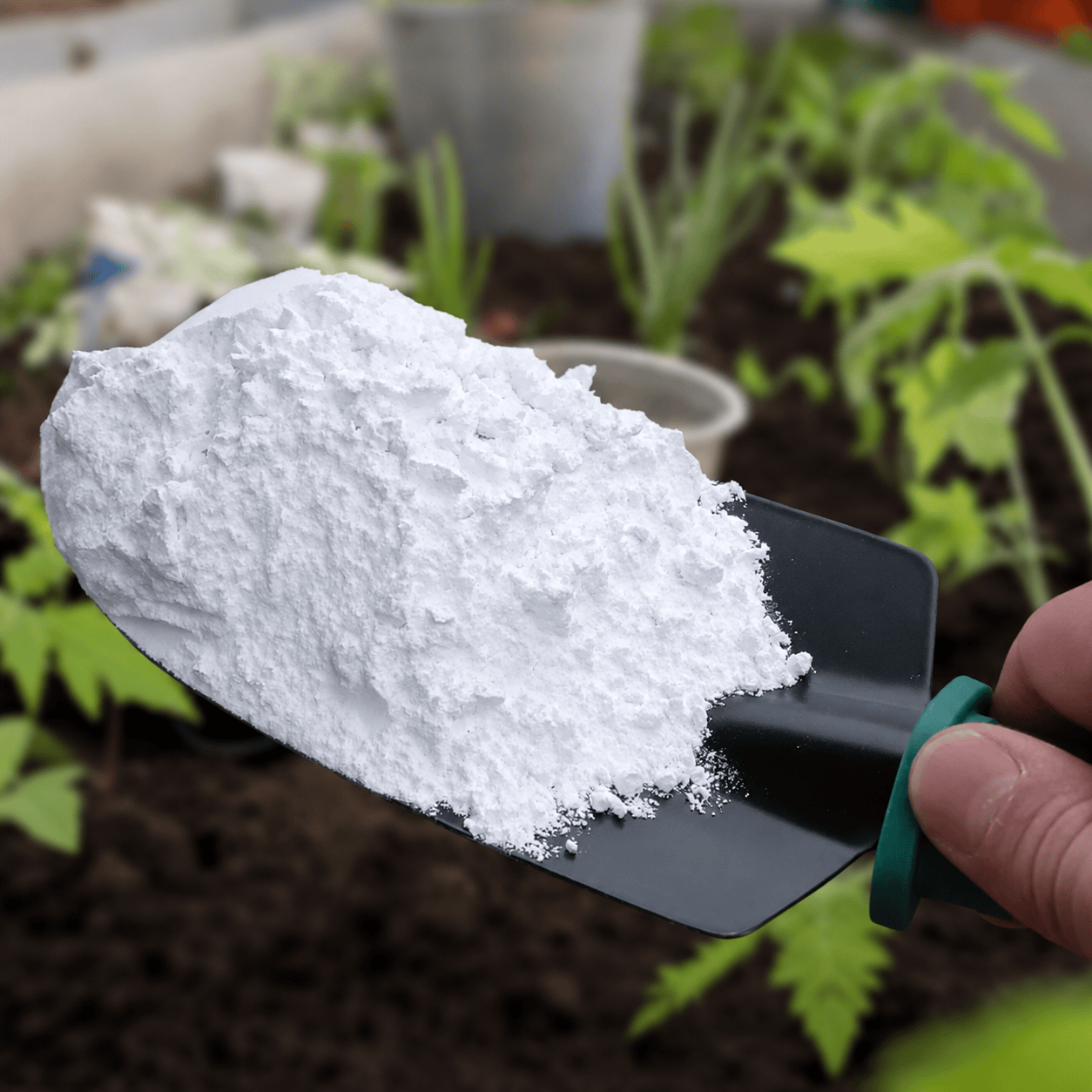 BAC Lime Powder (Calcium) 5kg | Soil & Coco pH Buffer