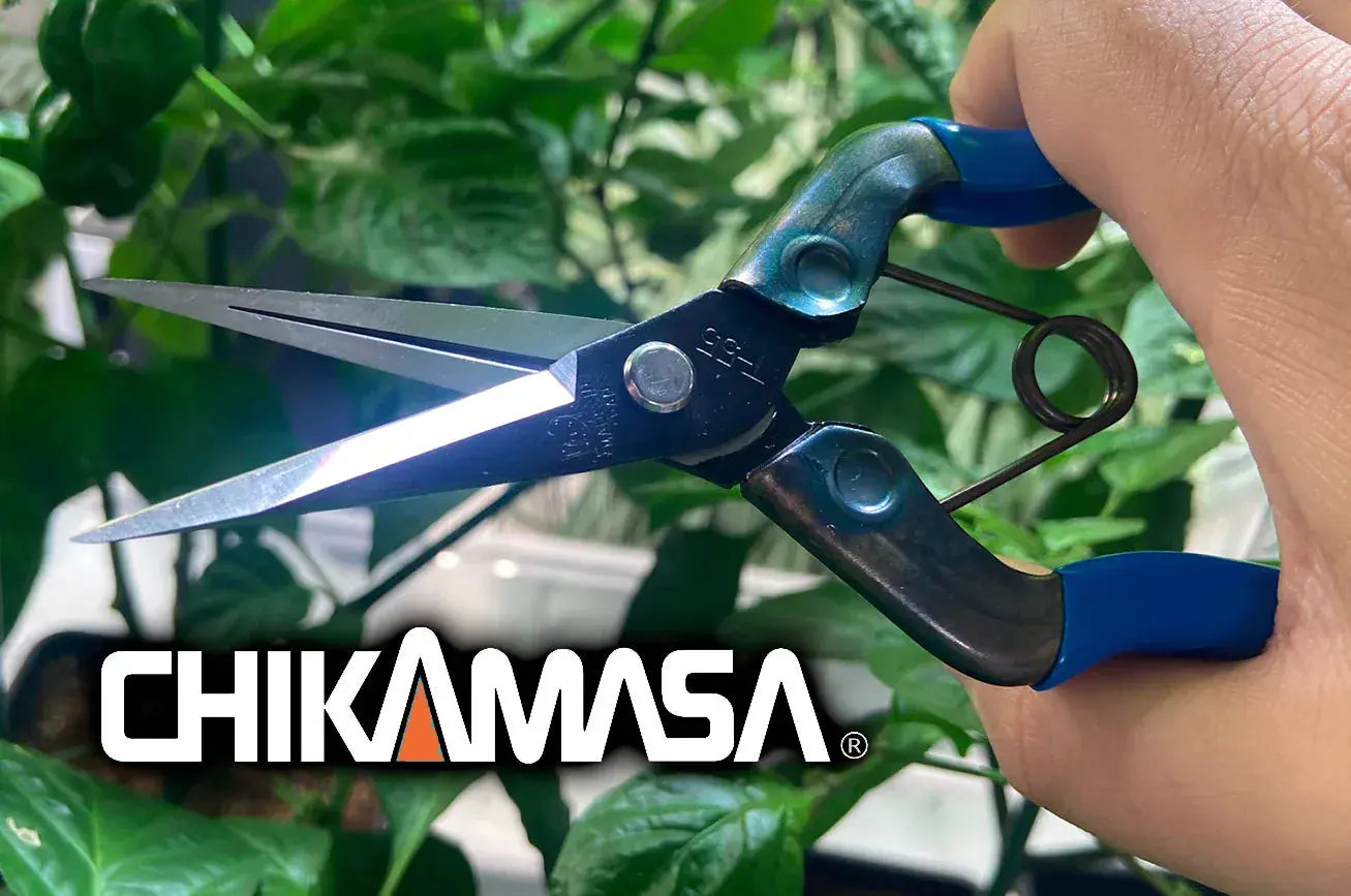 Chikamasa  T-552 7" Trimming Scissors