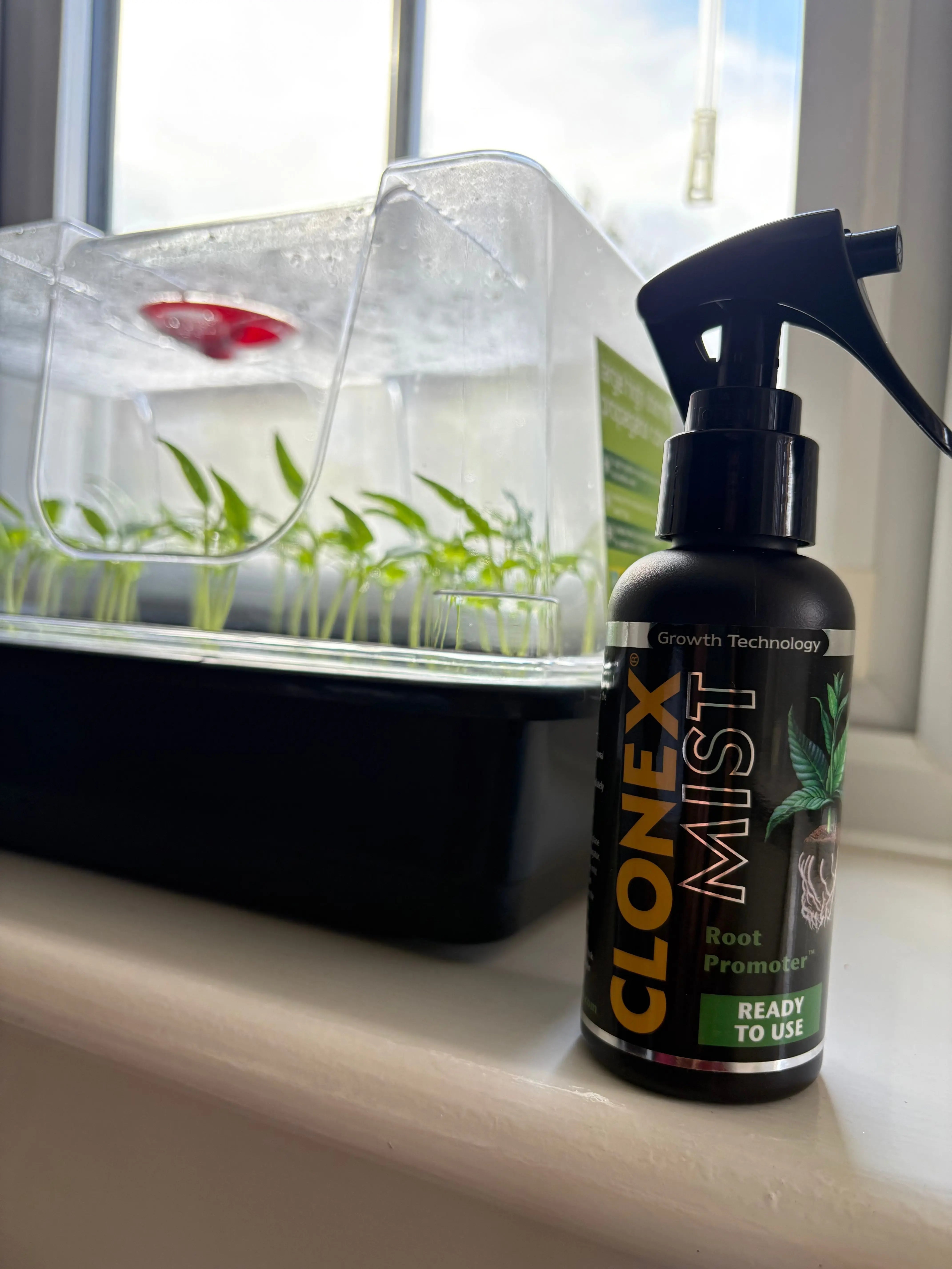 Clonex Mist