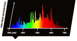 Lámparas CMH Lumatek de 315 W