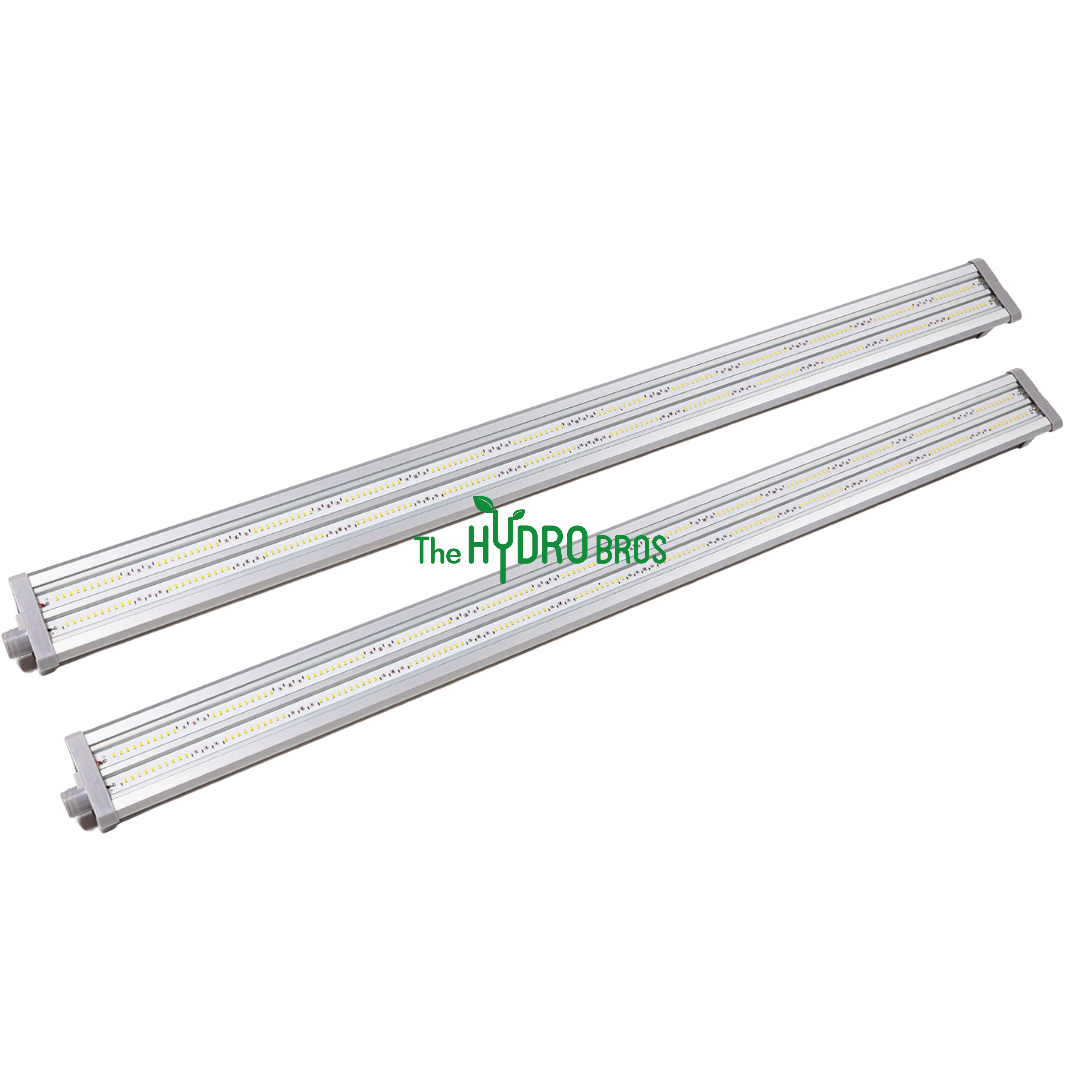 Supplemental LED Lighting