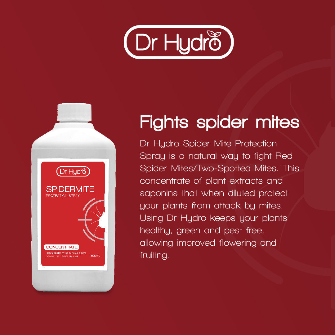 Dr Hydro - Spider Mite