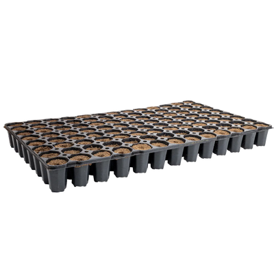 Eazy Plug 104 100% Coco | Tray of 104 - Seed & Cutting Propagation Plugs