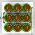FLORAFLEX Grow Systems Floraflex Complete Micro Drip and Platform Drain System - The Hydro 