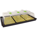 GLOBAL AIR Propagator X-Stream Heated Propagator | Large & Small | The Hydro Bros