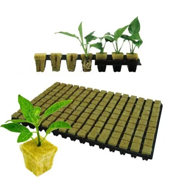 Grodan Rockwool