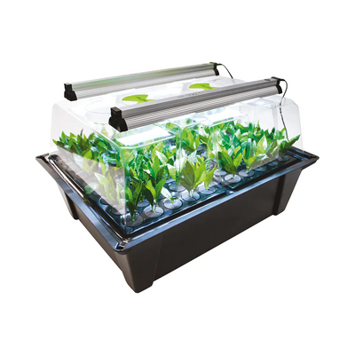 X-stream Aeroponic Propagator + Sunblaster LED Kit