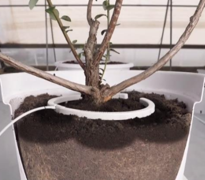Netafim Netbow Watering Ring
