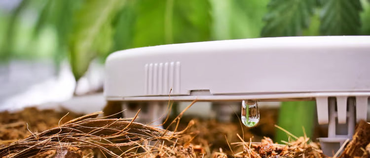 DRIP IRRIGATION