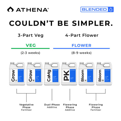 Athena Blended Starter Kit - Mini