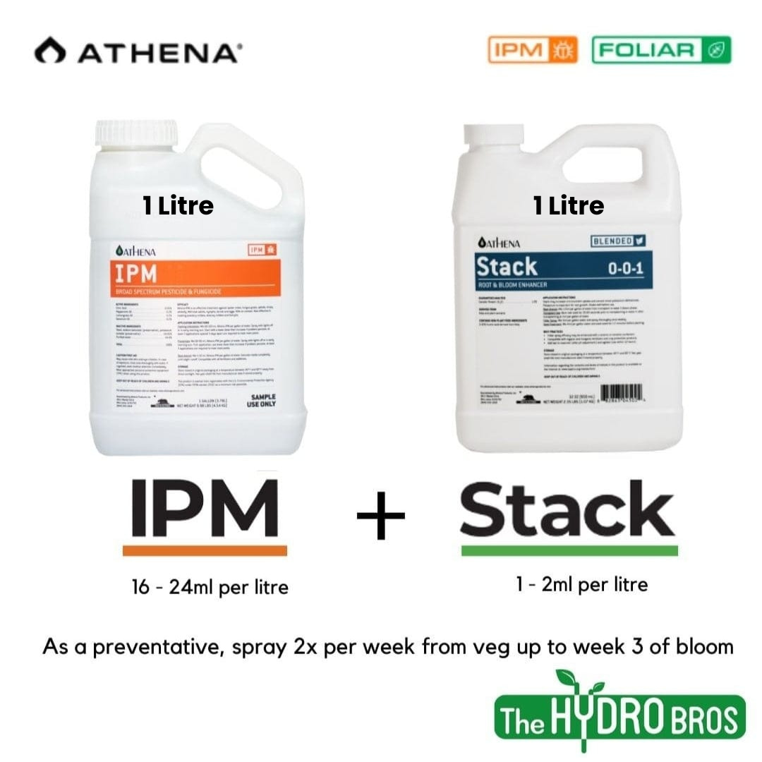 Athena Stack + IPW