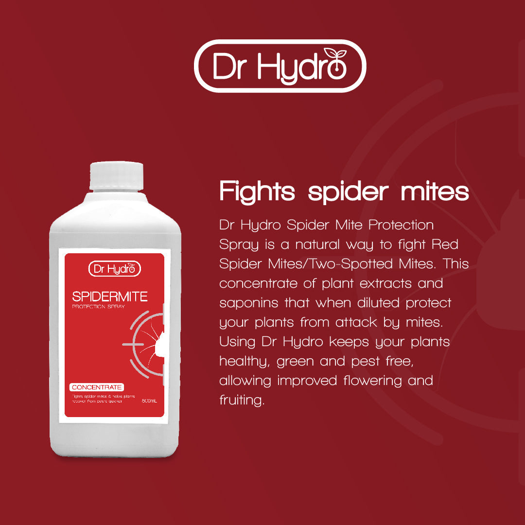 Nutrients Dr Hydro - Spider Mite
