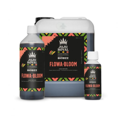 Juju Royal - Flowa Bloom
