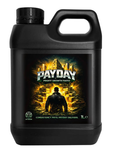 Payday PGR - Profit Growth Ratio