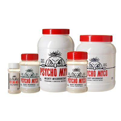 Psycho Myco - Mycorrhizae