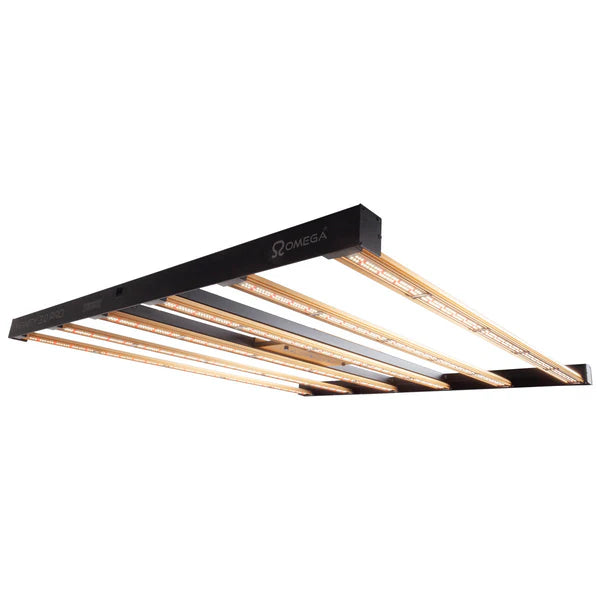 The Hydro Bros
