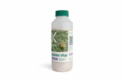 Spidex (ehemals Phytoline) – Spinnmilben-Raubmilben