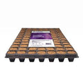 PLAGRON Grow Media Plagron Next Gen Growplug (Tray of 84) - The Hydro Bros