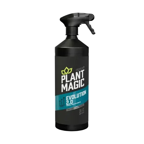 Evolución de la magia de las plantas 2.0