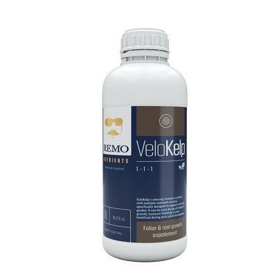 Remo Nutrients VeloKelp - Kelp-Extrakt Wurzel- und Vitalitätsbooster
