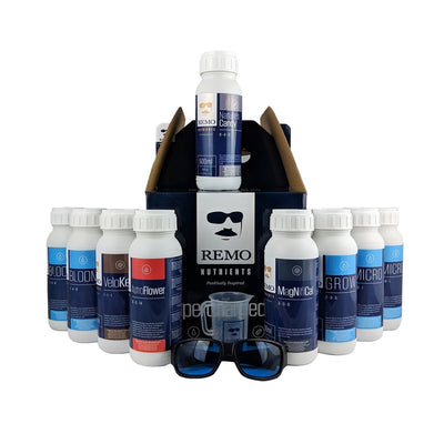 Remo's supergeladenes Starter-Kit