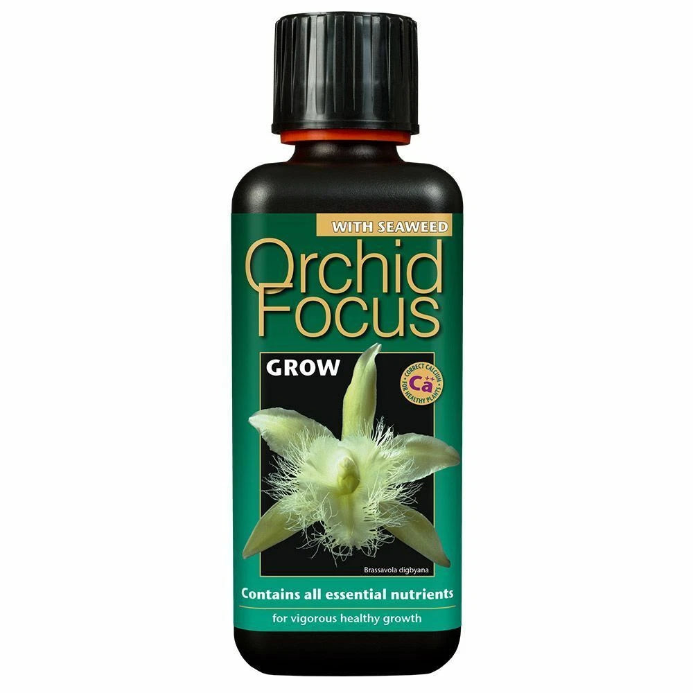 Growth Technology Orchid Focus