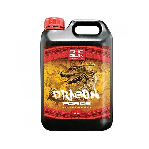 Shogun – Drachenkraft