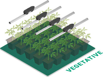 ThinkGrow Model One - 5ft LED Bars (TLB-2)