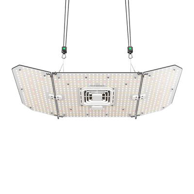 Lámpara LED de cultivo AC Infinity IonFrame EVO6 - 500 W (AC-IF6K)