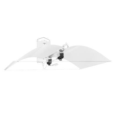 1000w DE-HPS Hellion Lighting System
