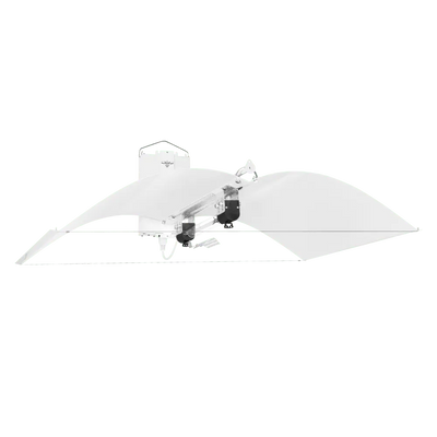 1000w DE-HPS Hellion Lighting System