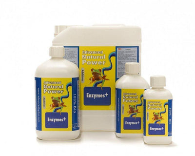 Dutch Formula Enzyme+