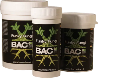 BAC – Knackige Pilze