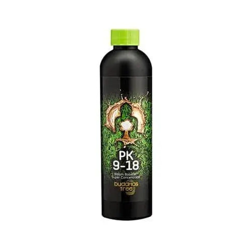 Buddhas Baum PK 9-18