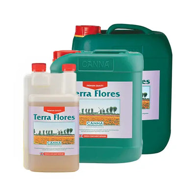 Canna - Terra Flores