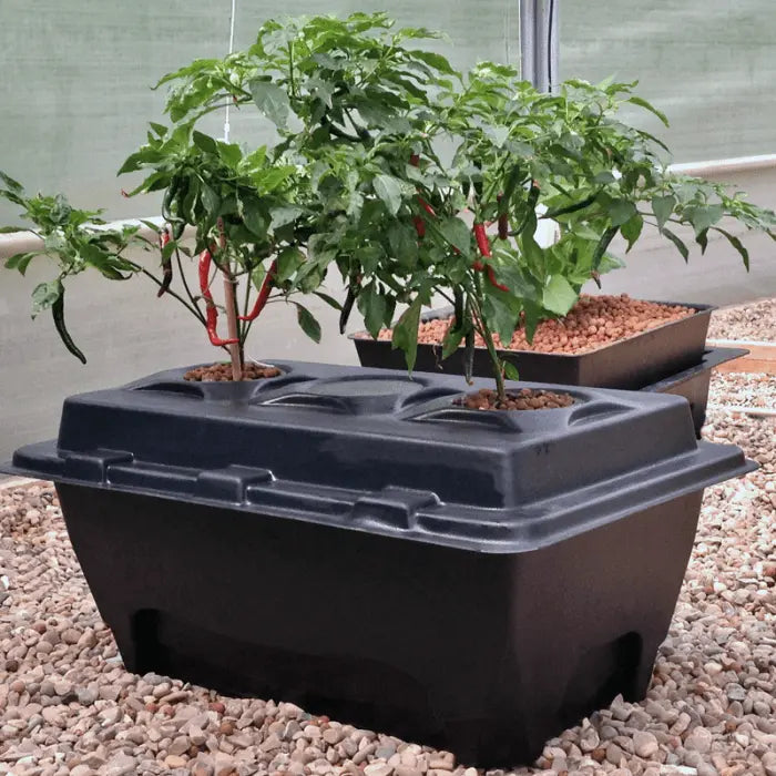 two plant hydroponic system Oxypot XL Complete Kit (2 Plants) - 70L (58.5 x 83 x 38cm)