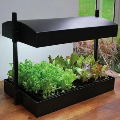 Garland Grow Light Garden - Black 48w